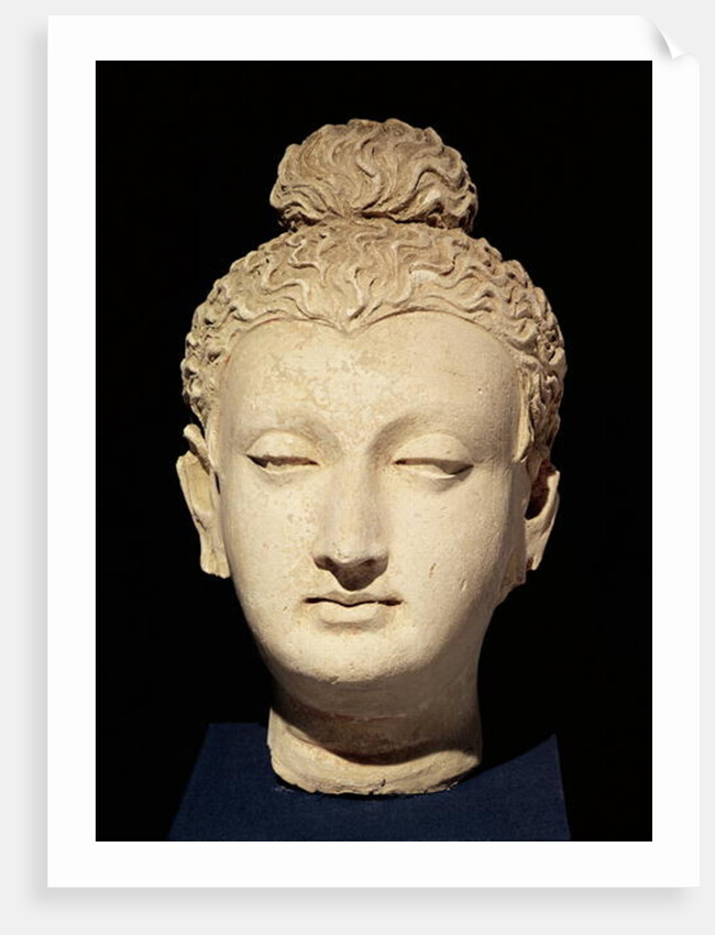 Head of a Buddha, Greco-Buddhist style, from Hadda by Afghan School