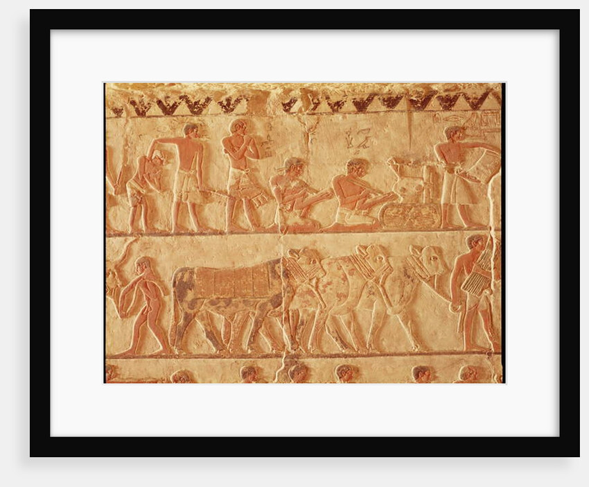 Painted relief depicting the posting of taxes and a group of cattle, Old Kingdom by Egyptian 5th Dynasty