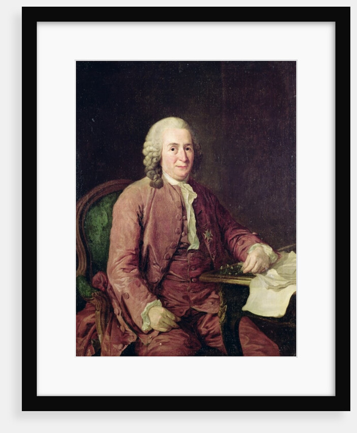Portrait of Carl von Linnaeus, 18th century by Alexander Roslin