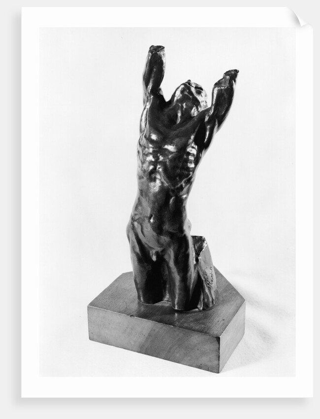 Desperate Adolescent, or Narcissus, 1885-90 by Auguste Rodin