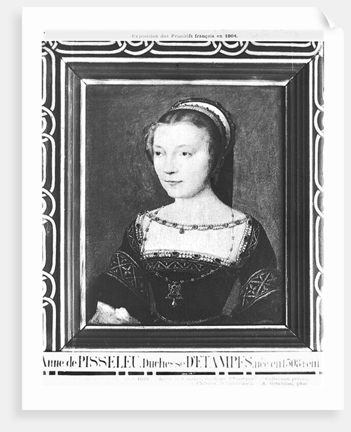 Anne de Pisseleu Duchess of Etampes, c.1448 by Corneille de Lyon