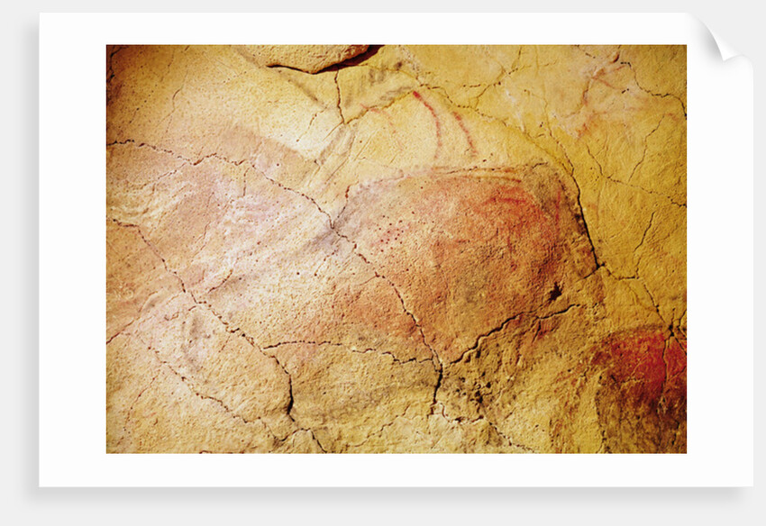 Bison by Prehistoric Prehistoric