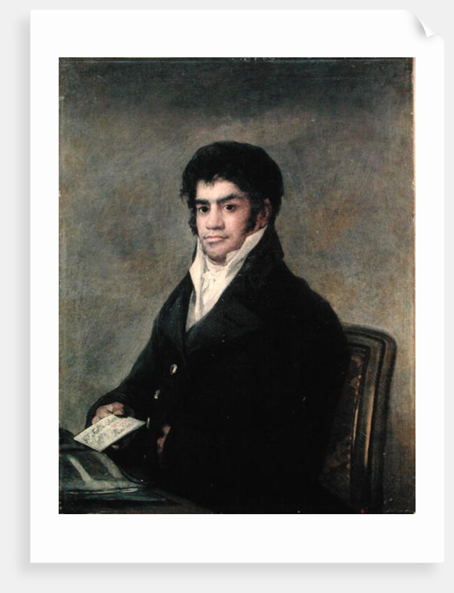 Portrait of Don Francisco del Mazo, c.1815 by Francisco Jose de Goya y Lucientes