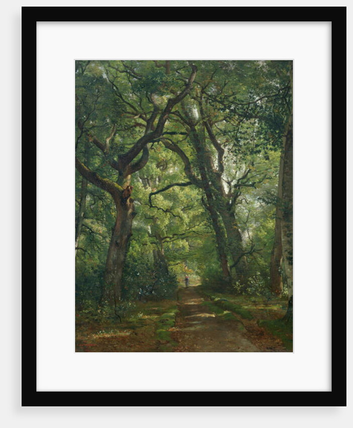Path in the Forest, 1864 by Henri Joseph Constant Dutilleux