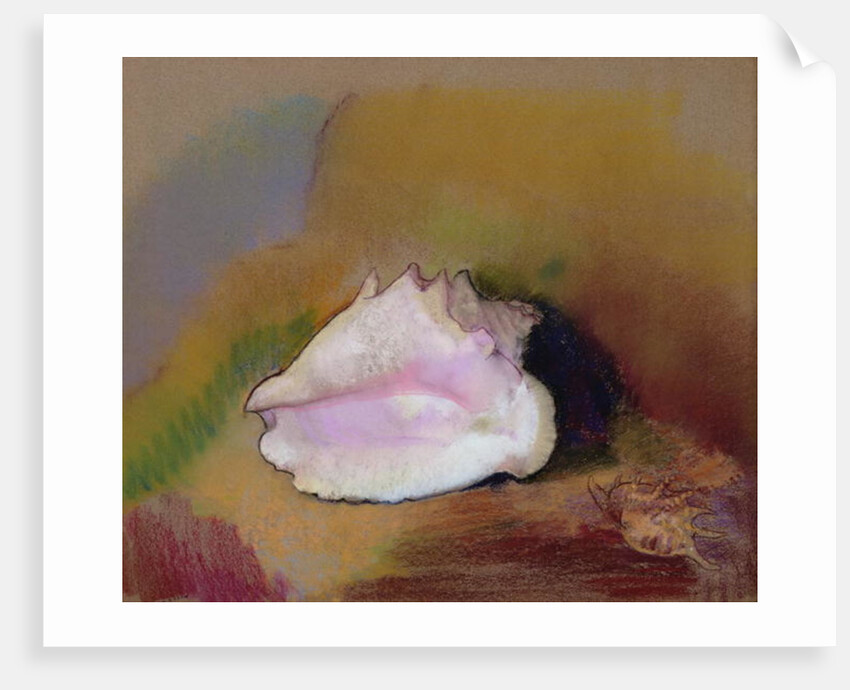 The Shell, 1912 by Odilon Redon