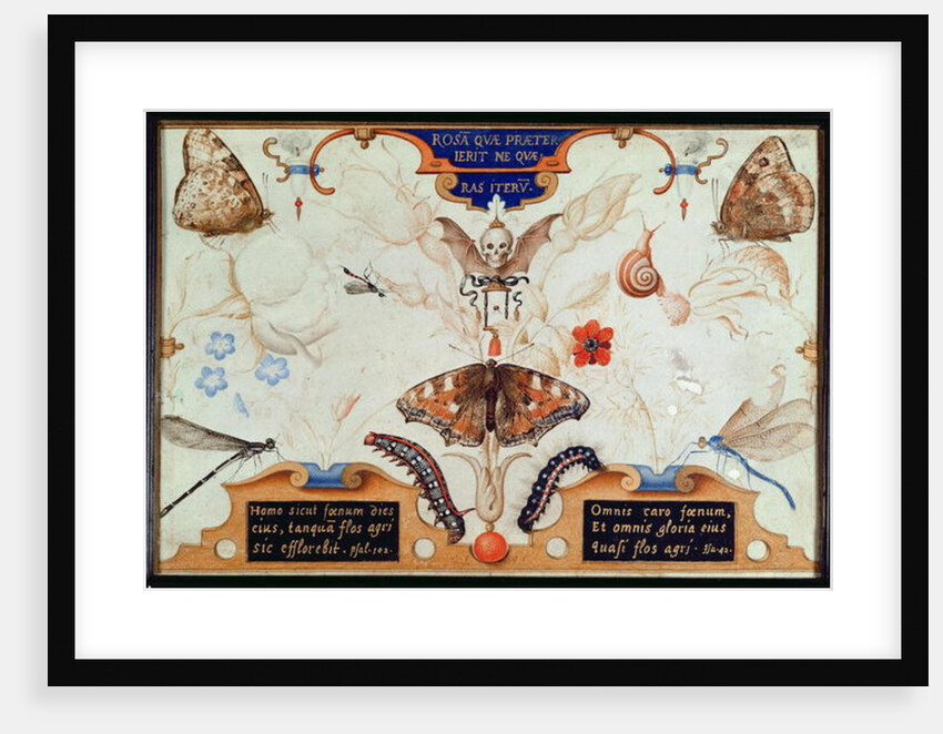 Diptych with flowers and insects, 1591 by Joris Hoefnagel