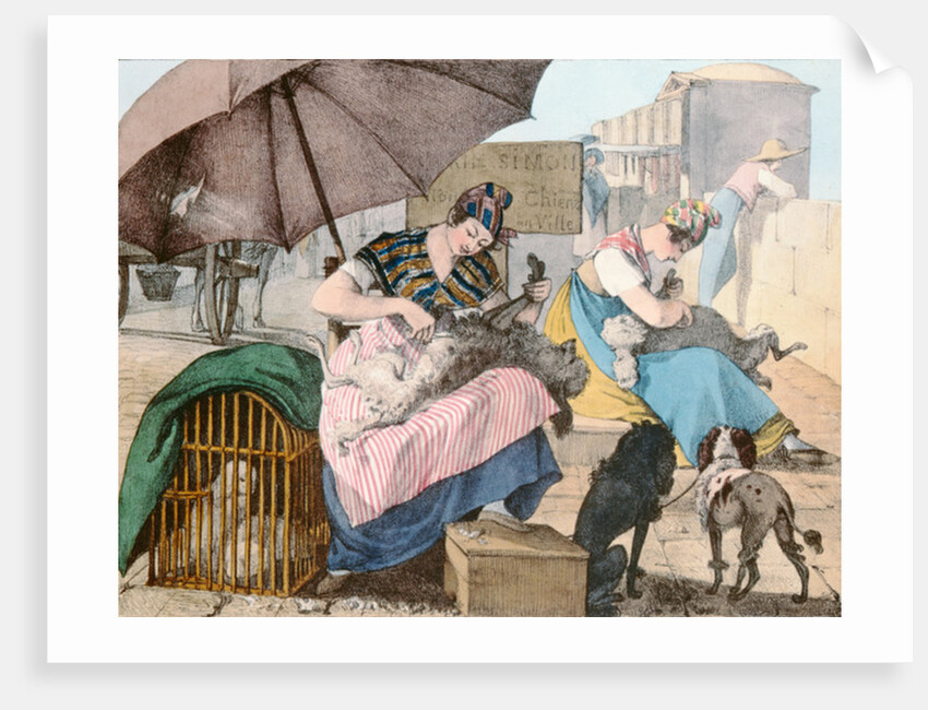 The Dog Groomers, 1820 by John James Chalon