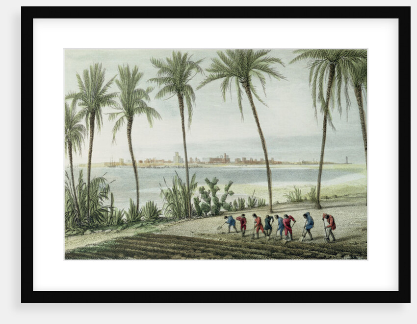 General View of Cadiz by J. Taylor