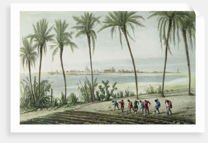 General View of Cadiz by J. Taylor