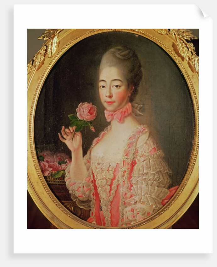 Marie-Josephine Louise de Savoie Comtesse de Provence by Francois-Hubert Drouais