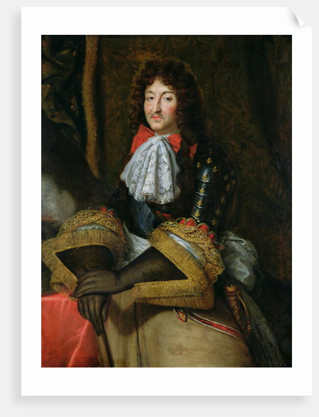 Louis XIV by French School