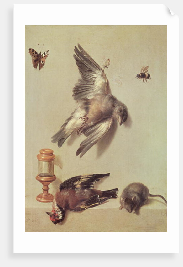 Still Life of Dead Birds and a Mouse, 1712 by Jean-Baptiste Oudry