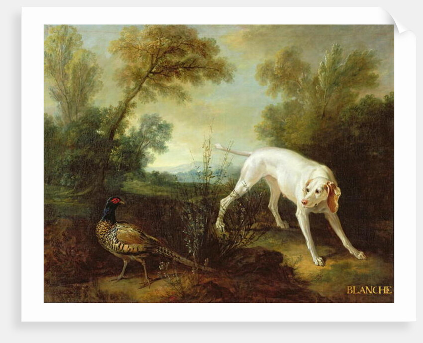 Blanche, Bitch of the Royal Hunting Pack by Jean-Baptiste Oudry