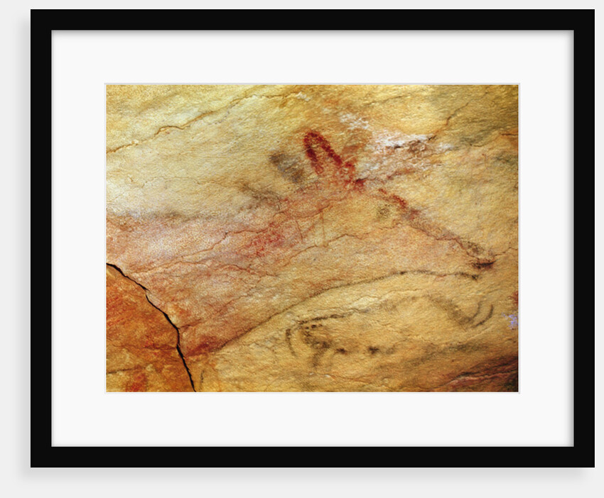 Stag from the Caves of Altamira, c.15,000 BC by Prehistoric Prehistoric