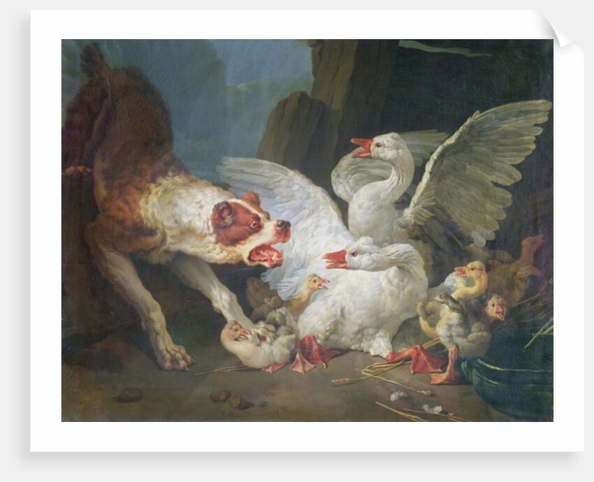 A Dog Attacking Geese, 1769 by Jean-Baptiste Huet