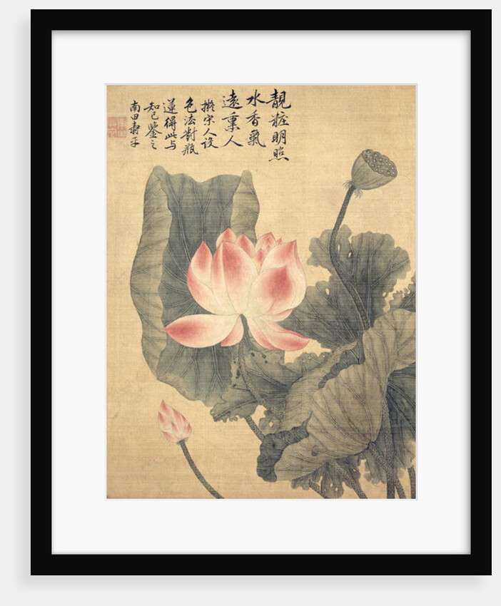 Peonies by Shouping Yun