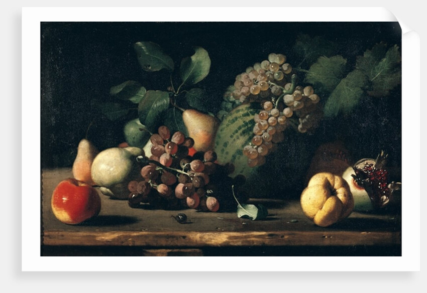 Still Life with Grapes and Pomegranate by Italian School