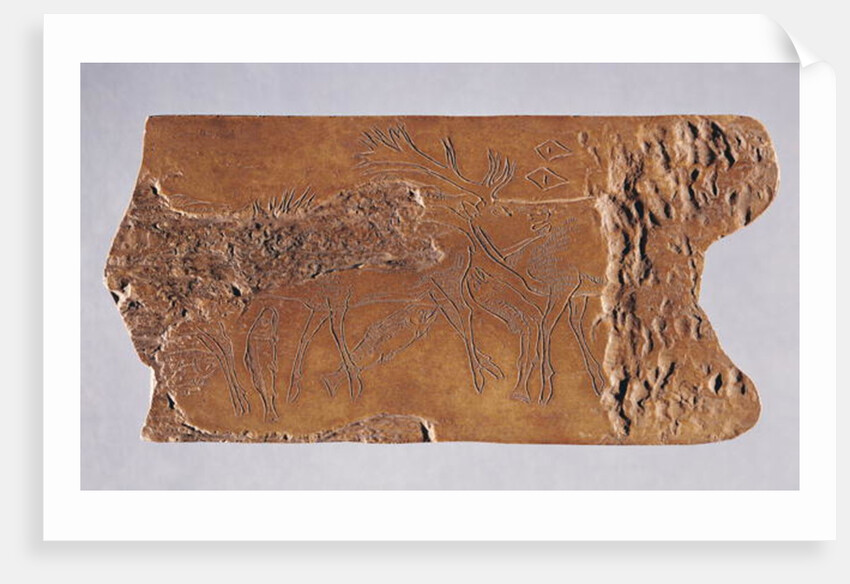 Reindeer horn carved with deer and leaping salmon by Paleolithic Paleolithic