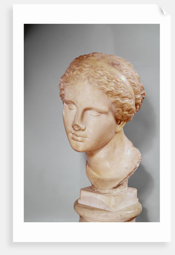 Venus of Martres, Roman copy of a Greek original by Praxiteles (after)