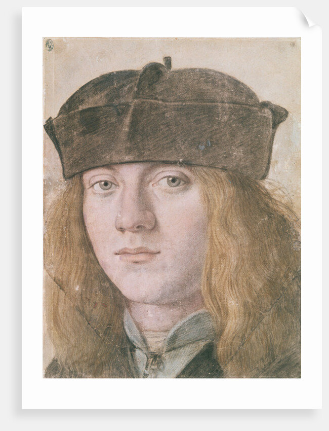 Portrait of a Young Man by Italian School
