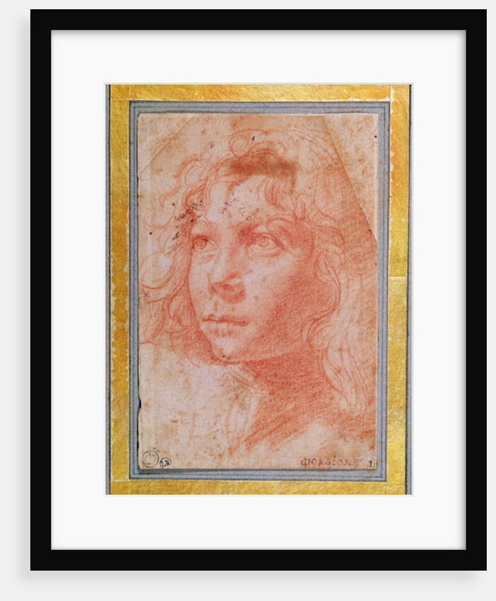 Head of a young boy turned to the left by Polidoro da Caravaggio