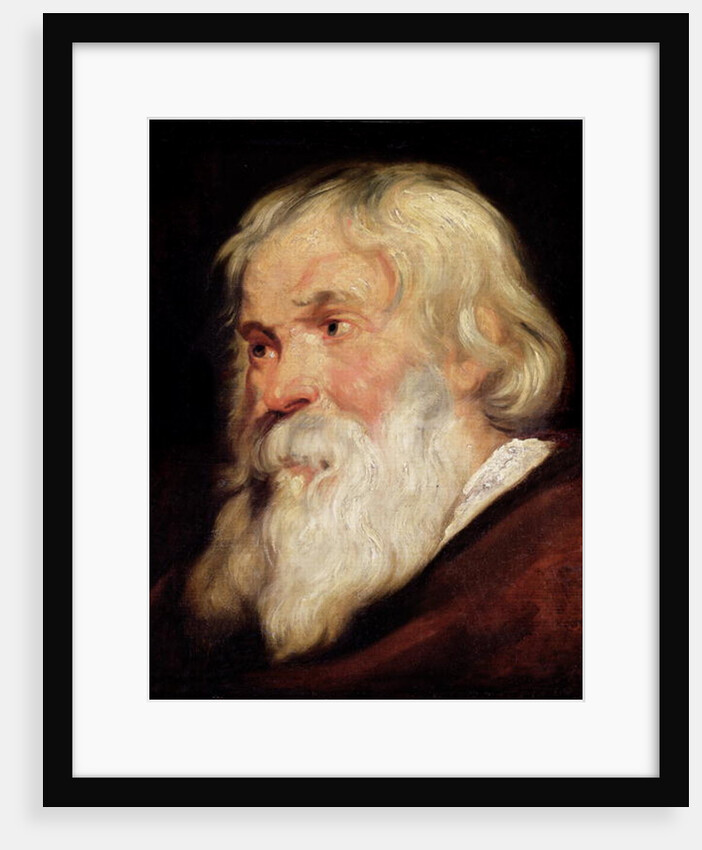 Head of an Old Man by Peter Paul Rubens