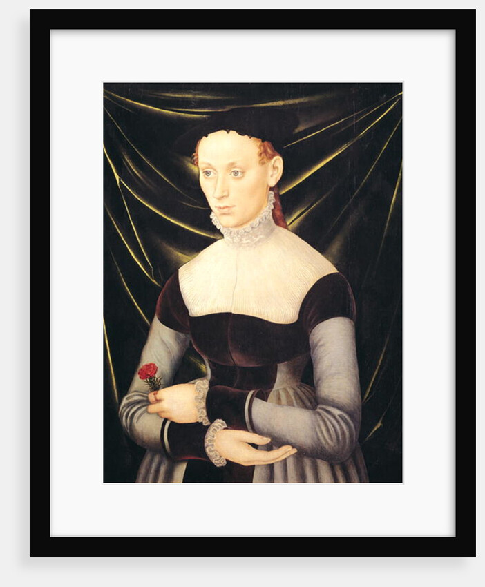 Woman with a Carnation by Lucas the Elder Cranach