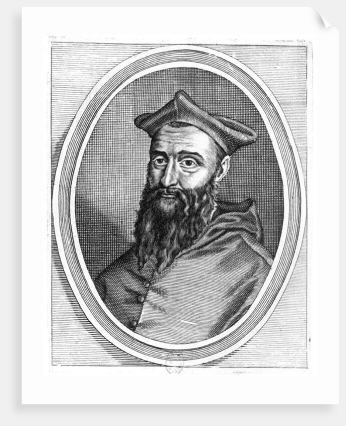 Portrait of Jean du Bellay by French School