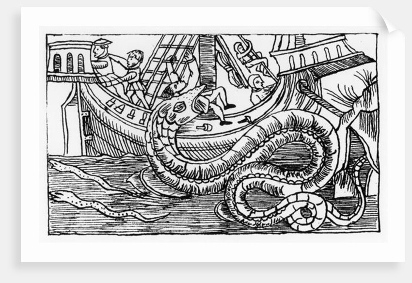 A Sea Serpent by Italian School