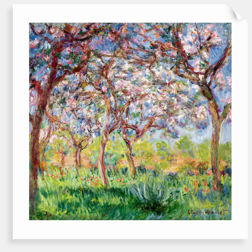 Springtime in Giverny, 1903 by Claude Monet