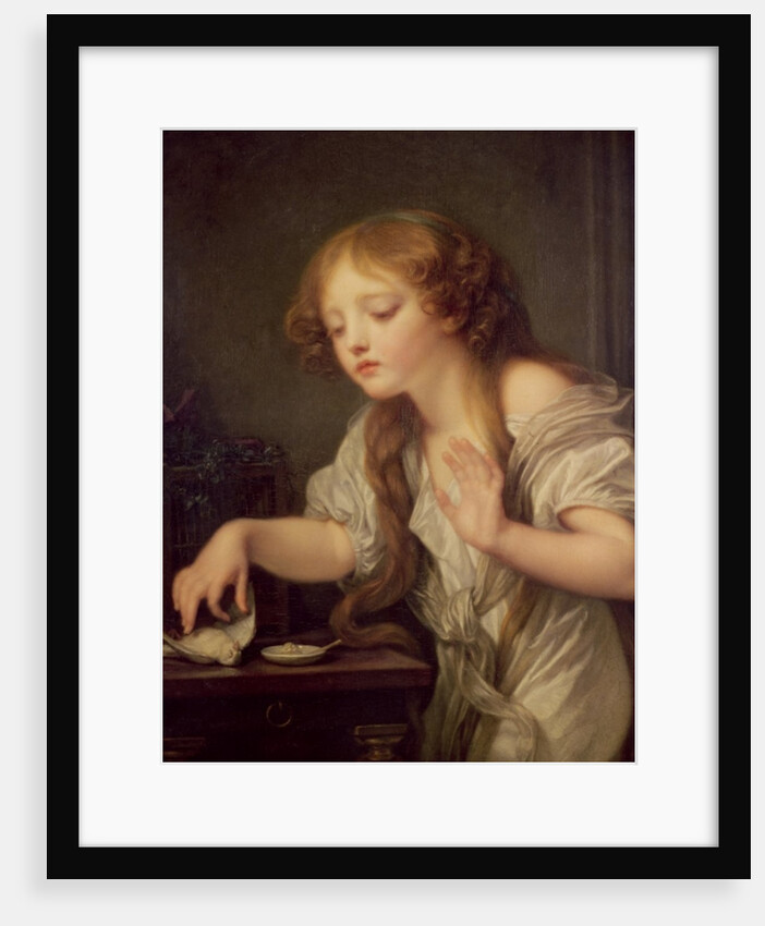 The Dead Bird by Jean Baptiste Greuze