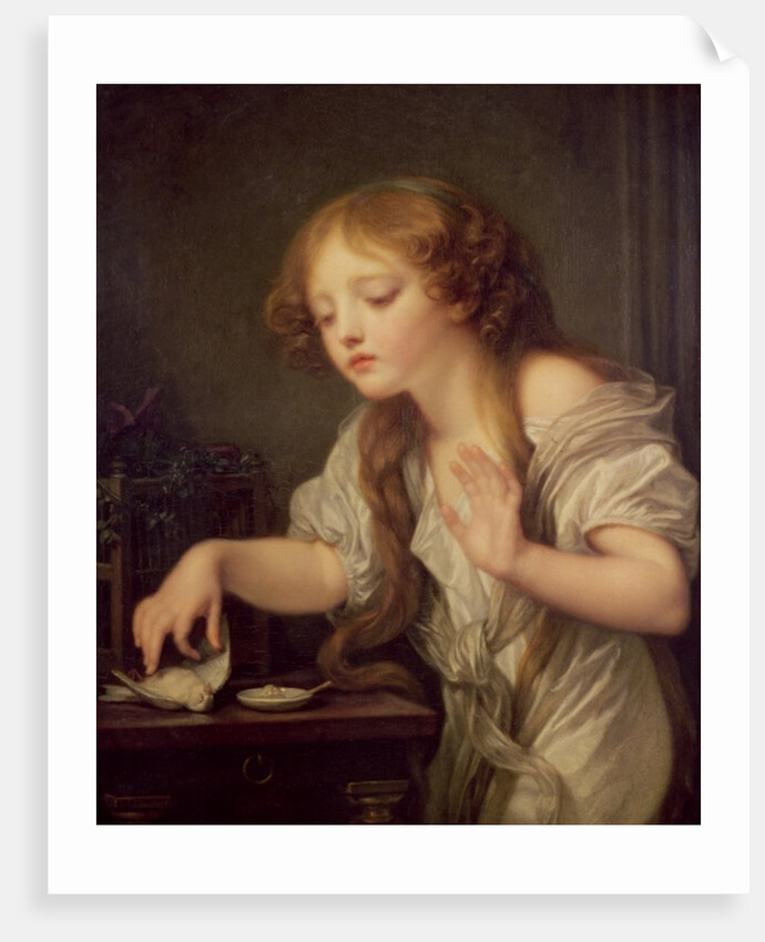 The Dead Bird by Jean Baptiste Greuze