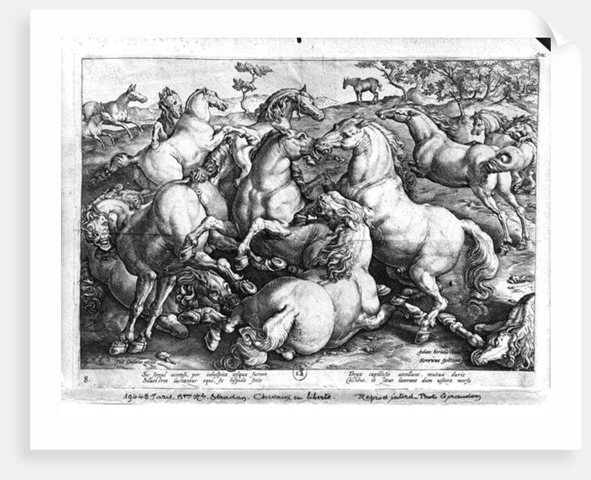 Horses in the wild by Jan van der (1523-1605) (after) Straet