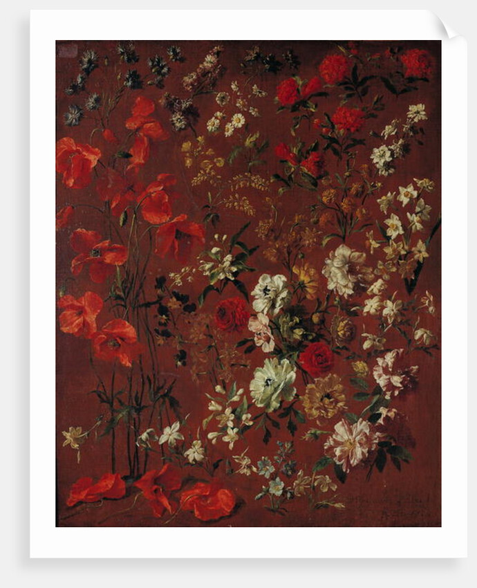 Study of Flowers, 1720 by Hyacinthe Francois Rigaud