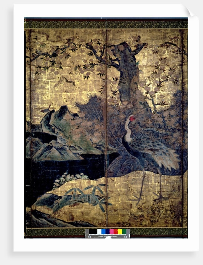 Birds and Flowers of the Four Seasons by Kano Soshu