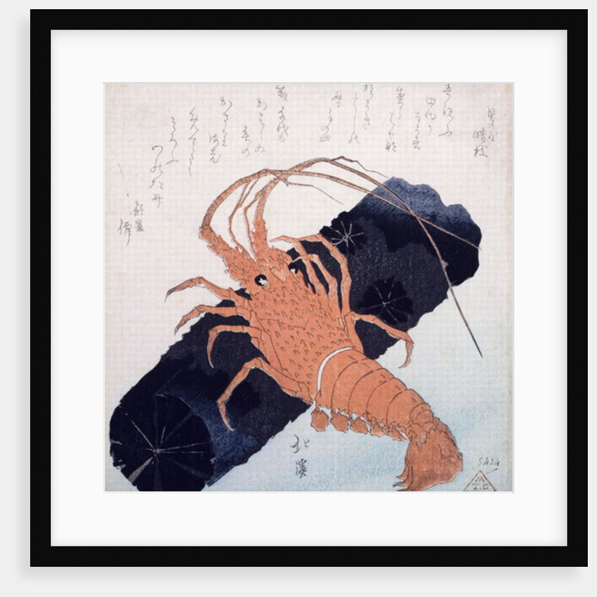 Langoustine with a Block of Charcoal, c.1830 by Toyota Hokkei