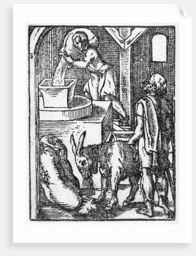 The miller by Jost Amman