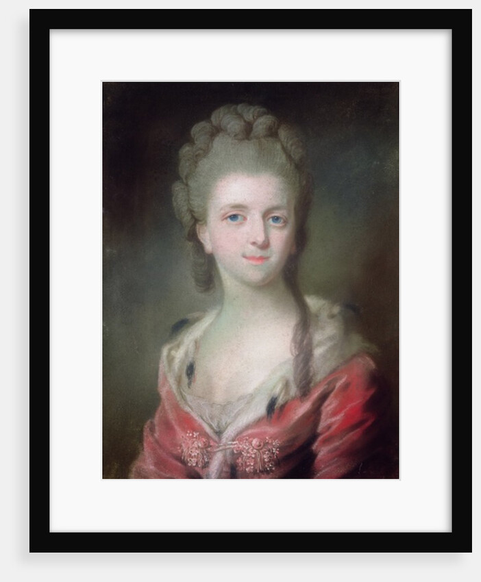 A Princess from the House of Bourbon by French School