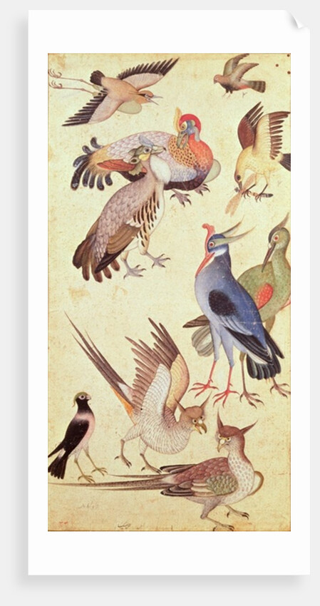 Ten Birds by Indian School