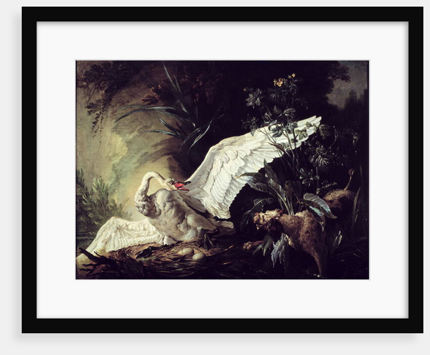 A Water Spaniel Attacking a Swan on its Nest, 1740 by Jacques Charles Oudry