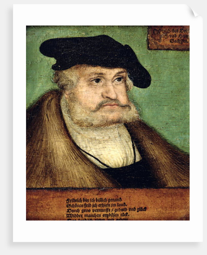 Portrait of Friedrich III Elector of Saxony, 1532 by Lucas the Elder Cranach