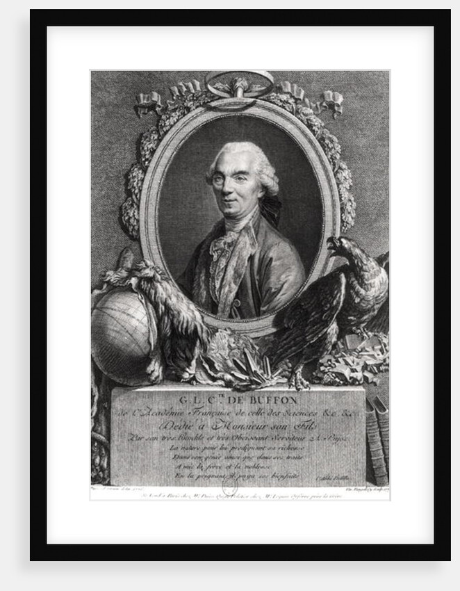 Georges-Louis Leclerc Comte de Buffon by Andre Pujos