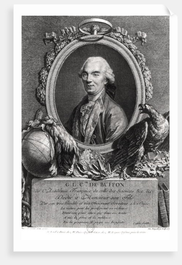 Georges-Louis Leclerc Comte de Buffon by Andre Pujos