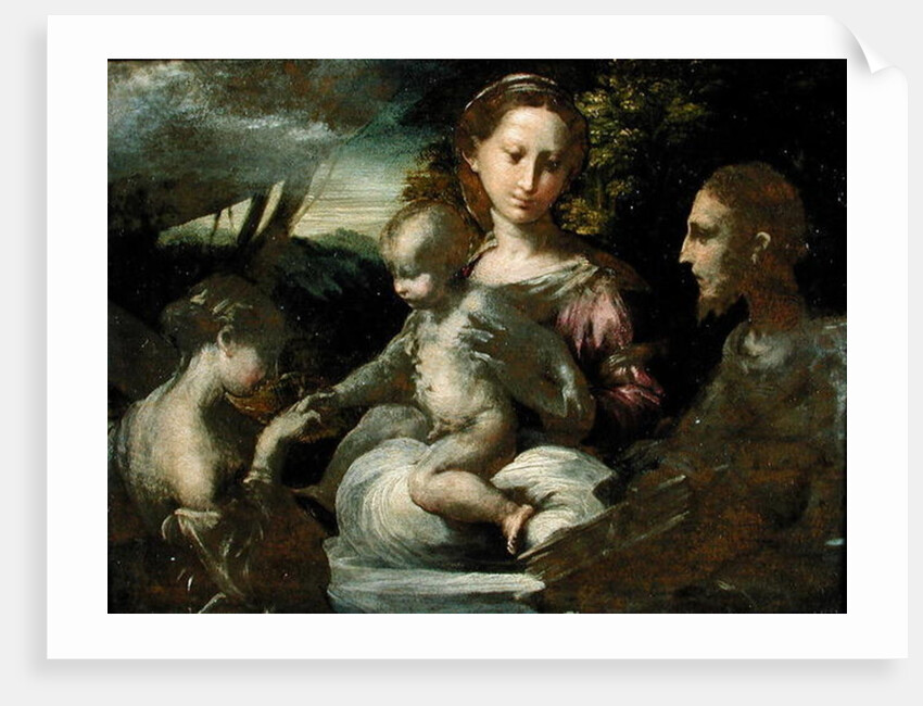 Study for The Mystic Marriage of St. Catherine, c.1527 by Parmigianino