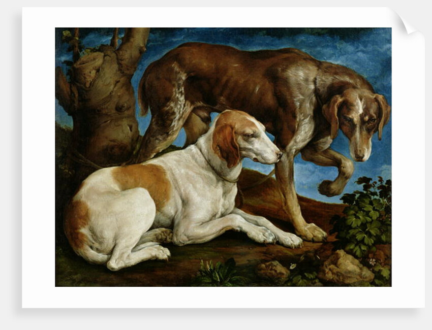 Two Hunting Dogs Tied to a Tree Stump, c.1548-50 by Jacopo Bassano