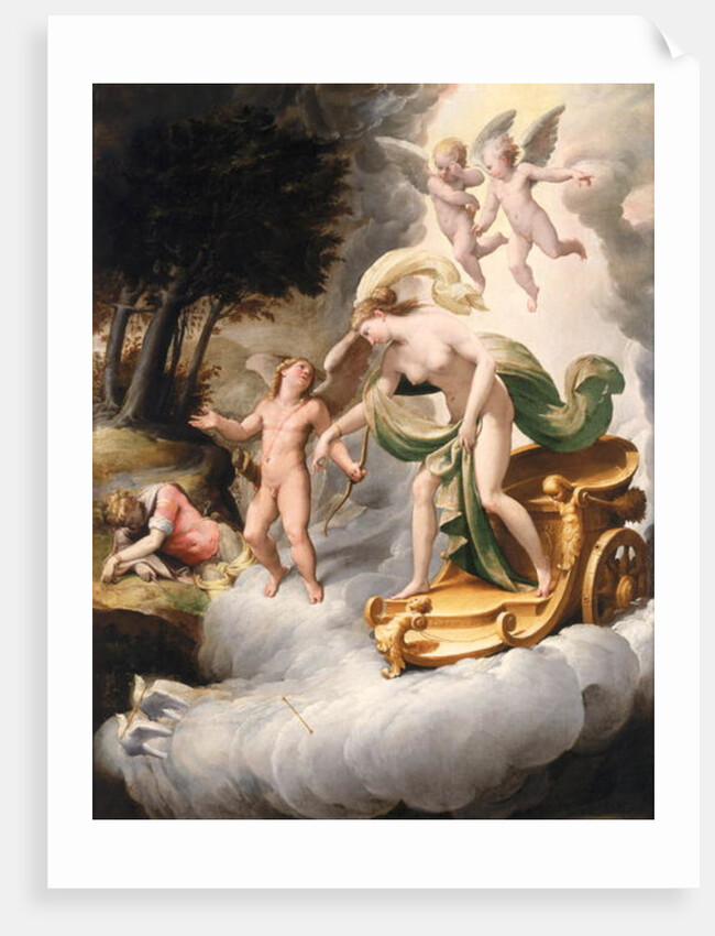 Venus Led by Cupid to Dead Adonis by Jacopo Ianguidi Bertoia