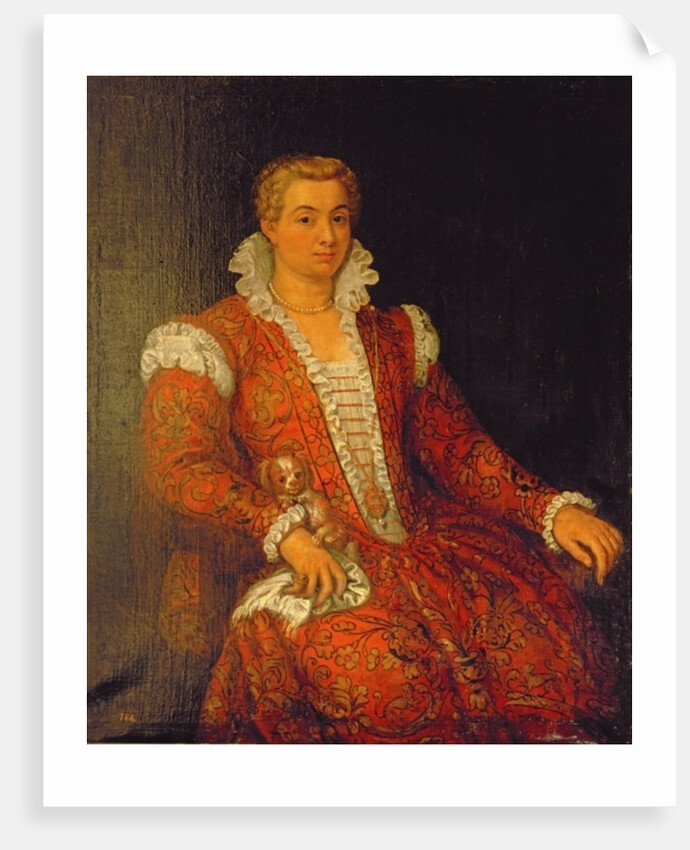 Portrait presumed to be Livia Colonna by Veronese