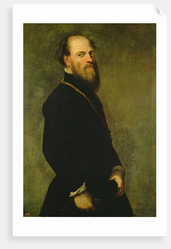 The Man with the Gold Chain, c.1550 by Jacopo Robusti Tintoretto