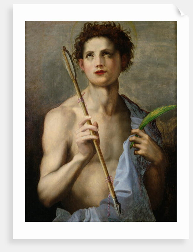 St. Sebastian Holding Two Arrows and the Martyr's Palm by Andrea del (after) Sarto