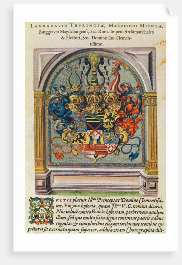 Coat of Arms by Jacques (1533-88) (after) Le Moyne